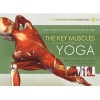 Key Muscles of Yoga - Your Guide to Functional Anatomy in Yoga (Paperback) - Ray Long Photo