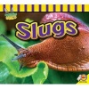 Slugs (Paperback) - John Willis Photo