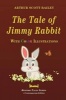 The Tale of Jimmy Rabbit - With Color Illustrations (Paperback) - Arthur Scott Bailey Photo