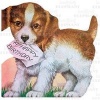 Puppy & Birthday Note - Greeting Card (Cards) - Blue Lantern Publishing Photo