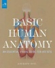 Basic Human Anatomy - An Essential Visual Guide for Artists (Hardcover) - Roberto Osti Photo