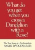 What Do You Get When You Cross a Dandelion with a Rose? - The True Story of a Psychoanalysis (Hardcover) - Vamik D Volkan Photo