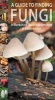 A Guide to Finding Fungi in Berkshire, Buckinghamshire and Oxfordshire (Paperback) - Peter Creed Photo