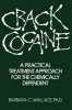 Crack Cocaine - A Practical Treatment Approach for the Chemically Dependent (Hardcover, illustrated edition) - Barbara C Wallace Photo