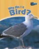 Why am I a Bird? (Paperback) - Greg Pyers Photo