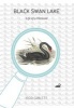 Black Swan Lake - Life of a Wetland (Paperback) - Rodney Giblett Photo