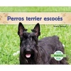 Perros Terrier Escocs (Scottish Terriers) (Spanish, Hardcover) - Grace Hansen Photo