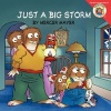 Little Critter: Just a Big Storm (Paperback) - Mercer Mayer Photo