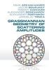 Grassmannian Geometry of Scattering Amplitudes (Hardcover) - Nima Arkani Hamed Photo