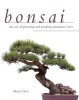 Bonsai - The Art of Growing and Keeping Miniature Trees (Paperback) - Peter Chan Photo