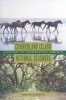 Cumberland Island National Seashore - A History of Conservation Conflict (Hardcover) - Lary M Dilsaver Photo