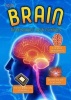 Your Brain - Understand it with Numbers (Paperback) - Melanie Waldron Photo