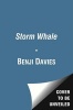 The Storm Whale (Paperback) - Benji Davies Photo