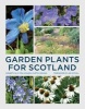 Garden Plants for Scotland (Paperback) - Kenneth Cox Photo