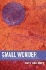 Small Wonder - Global Power and Its Discontents (Paperback, New) - Fred R Dallmayr Photo