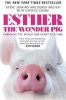 Esther the Wonder Pig - Changing the World One Heart at A Time (Hardcover) - Steve Jenkins Photo