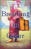 Breathing in Colour (Paperback) - Clare Jay Photo