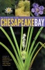 Plants of the Chesapeake Bay - A Guide to Wildflowers, Grasses, Aquatic Vegetation, Trees, Shrubs, and Other Flora (Paperback, New) - Lytton John Musselman Photo