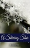 A Shining Star (Paperback) - R Castro Photo