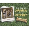 The Life of Corgnelius and Stumphrey - The Cutest Corgis in the World (Hardcover) - Susie Brooks Photo