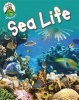 Sea Life (Hardcover, Illustrated edition) - Franklin Watts Photo