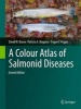 A Colour Atlas of Salmonid Diseases. (Book, 2nd ed. 2013) - D W Bruno Photo