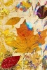 An Autumn Leaf Collage Art Journal - 150 Page Lined Notebook/Diary (Paperback) - Cs Creations Photo