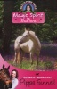 Magic Spirit, 1 - The Dream Horse (Paperback) - Pippa Funnell Photo