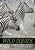 Wild Equids - Ecology, Management, and Conservation (Hardcover) - Jason I Ransom Photo