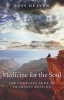 Medicine for the Soul - The Complete Book of Shamanic Healing (Paperback) - Ross Heaven Photo