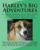 Harley's Big Adventures - A True Story of a Rescue Dog and All of His First Great Adventures (Paperback) - Kim Patrick Photo