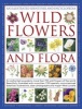 An Illustrated Identifier and Encyclopedia - Wild Flowers and Flora (Hardcover) - Mick Lavelle Photo