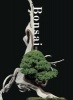 Bonsai (Paperback) - Kunio Kobayashi Photo