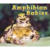 Amphibian Babies (Paperback) - Catherine Veitch Photo