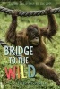 Bridge to the Wild - Behind the Scenes at the Zoo (Hardcover) - Caitlin OConnell Photo