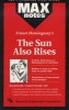 "Sun Also Rises" (Paperback) - Connie Hunter Gillespie Photo