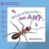 An Ant? (Paperback) - Jinny Johnson Photo