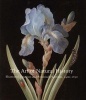 The Art of Natural History - Illustrated Treatises and Botanical Paintings, 1400-1850 (Paperback) - Therese OMalley Photo