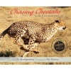 Chasing Cheetahs - The Race to Save Africa's Fastest Cat (Hardcover) - Sy Montgomery Photo