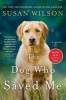 The Dog Who Saved Me (Paperback) - Susan Wilson Photo