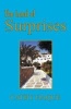 The Land of Surprises (Paperback) - Cathy Haque Photo