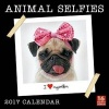 Cal 2017-Animal Selfies (Calendar) - Inc Sellers Publishing Photo