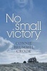 No Small Victory (Paperback) - Connie Brummel Crook Photo