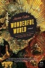 Wonderful World (Paperback) - Javier Calvo Photo