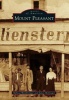 Mount Pleasant (Paperback) - Melissa Weinbrenner Photo