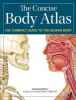 Concise Body Atlas - The Compact Guide to the Human Body (Paperback) - Ken Ashwell Photo