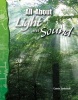 All about Light and Sound (Paperback) - Connie Jankowski Photo