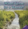 What Lives in a Marsh? (Paperback) - Dave Mack Photo