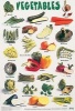 Vegetables (Poster, New edition) - Schofield Sims Photo