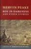 Boy In Darkness - The Centenary Edition (Paperback, Centenary ed) - Mervyn Peake Photo